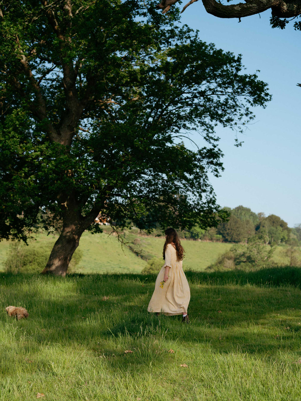 Dandelion Frock